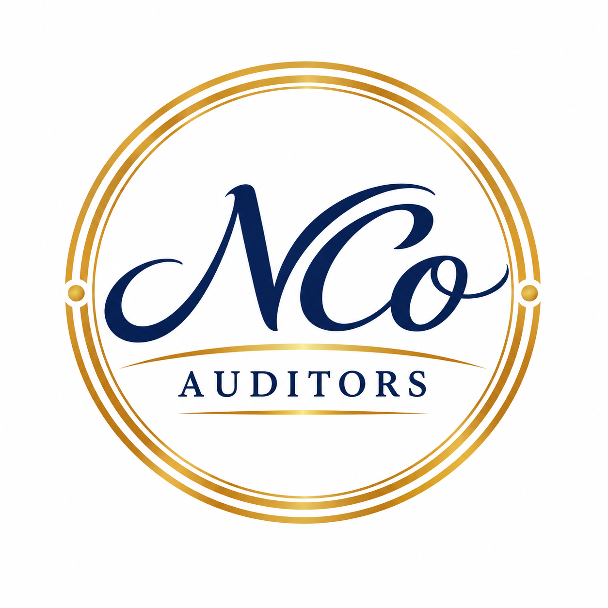 N Co Auditors logo